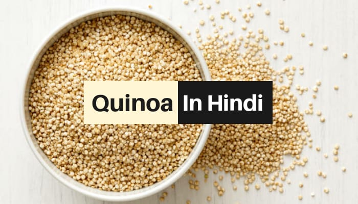 Quinoa in Hindi