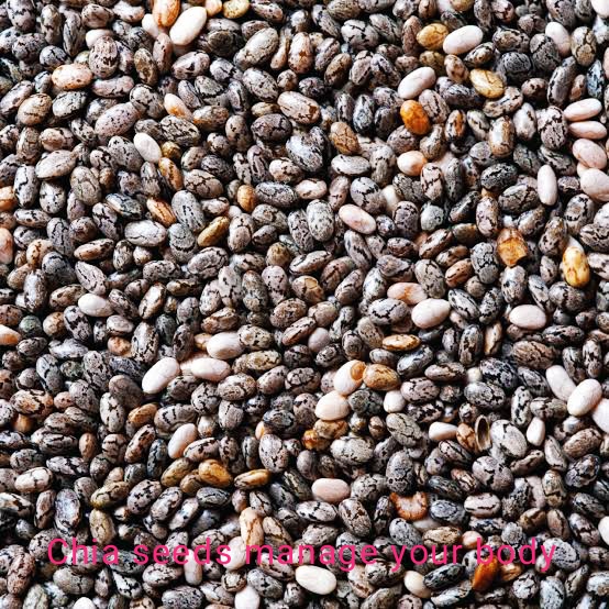 Chia Seeds In Hindi (चिया सीड के हैं हजारों, लाखों फायदे जानिए हिंदी में)