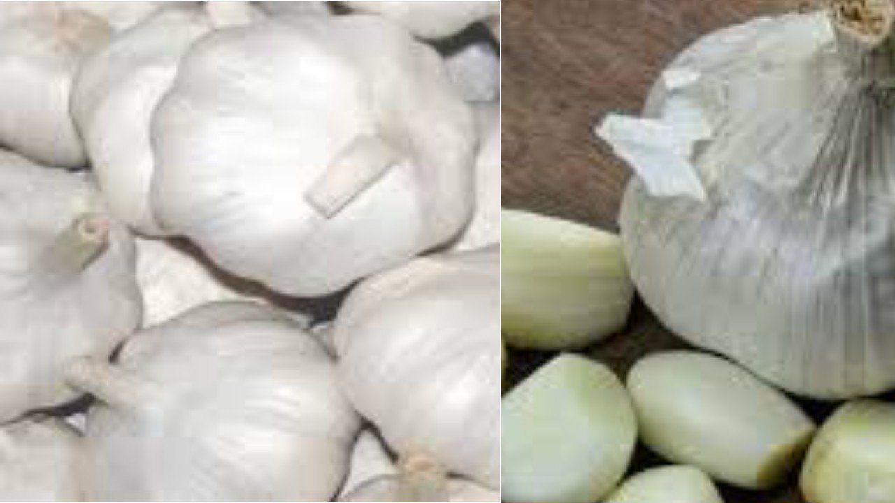 Garlic Benefits in Hindi