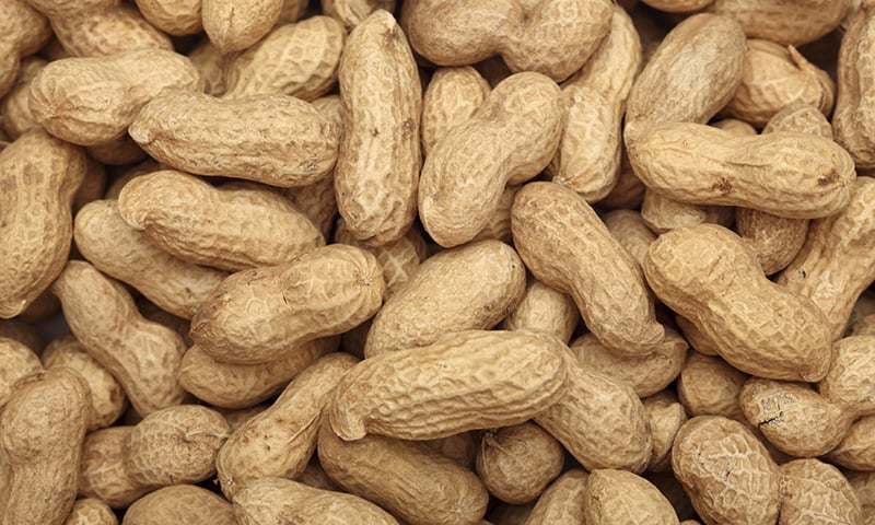 Peanuts Health Benefits