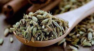 benefits of fennel seeds in hindi