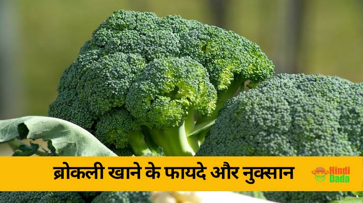 Broccoli benefits in hindi 