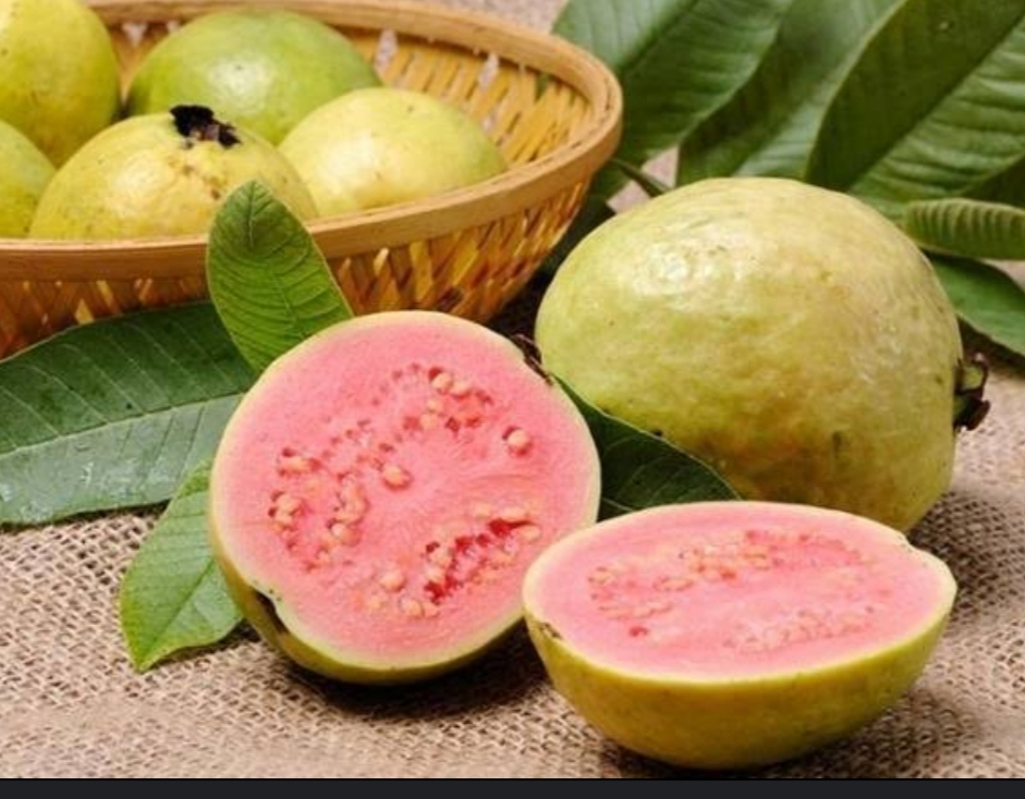 Guava benefits in hindi