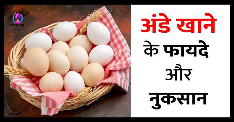 Egg benefits in hindi 