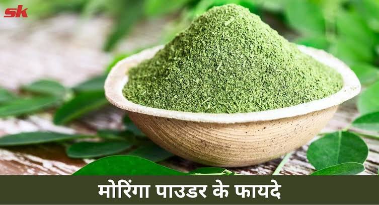 Moringa powder benefits in hindi 