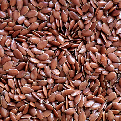 Flax Seeds Health Benefits in Hindi