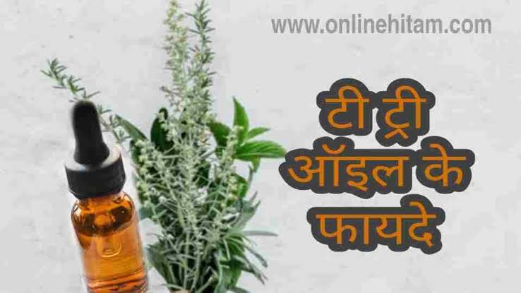 Tea tree oil benefits in hindi 